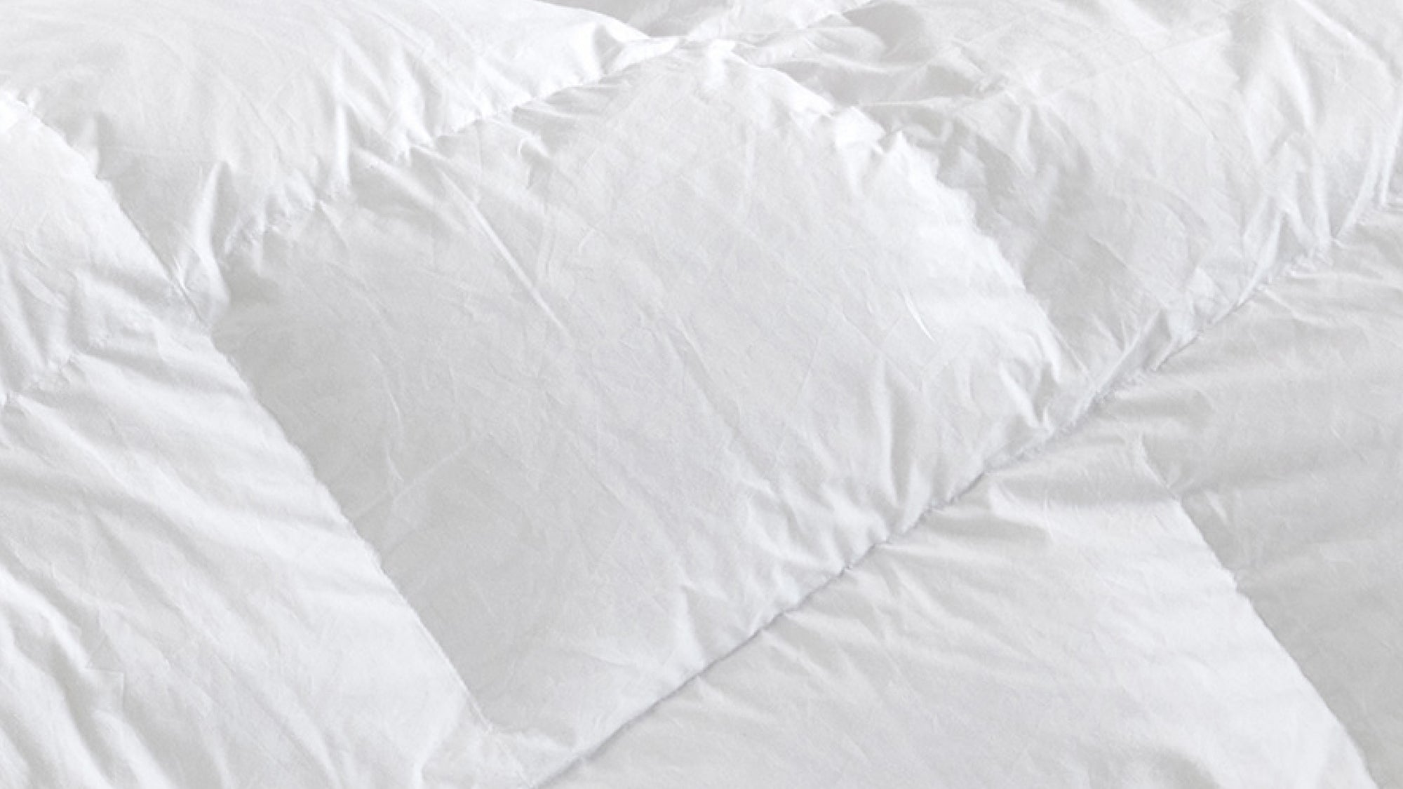 Bärenweich Decke von Bruno
