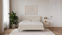 Polsterbett von Bruno – in Beige
